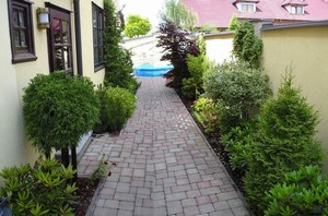 I kdy je zahrada pitiskl ke zdem, nabz mnoho zelen, kter t majitele domu a zahrady. Tato posledn fotografie je mont dvou fotek (bohuel jet nemm panoramatick fok :-), kde je vidt, jak spolu ob sti funguj a kolik dok nadlat radosti.