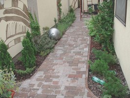 Dobrm npadem byly zakrsl boroviky, ale bylo poteba jim dm smysl a zakomponovat je do celkov jinak stavnho designu, kde vyniknou jak ony tak i rostliny odlinho habitu.