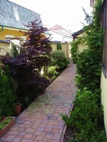 Barvy jsou v zahrad ptomny i mimo hlavn dobu kveten ostatnch rostlin. Tento japonsk javor je i v polostnu stle temn vnov a zele kolem m nkolik odstn a v mnoha ppadech i pestr listy.