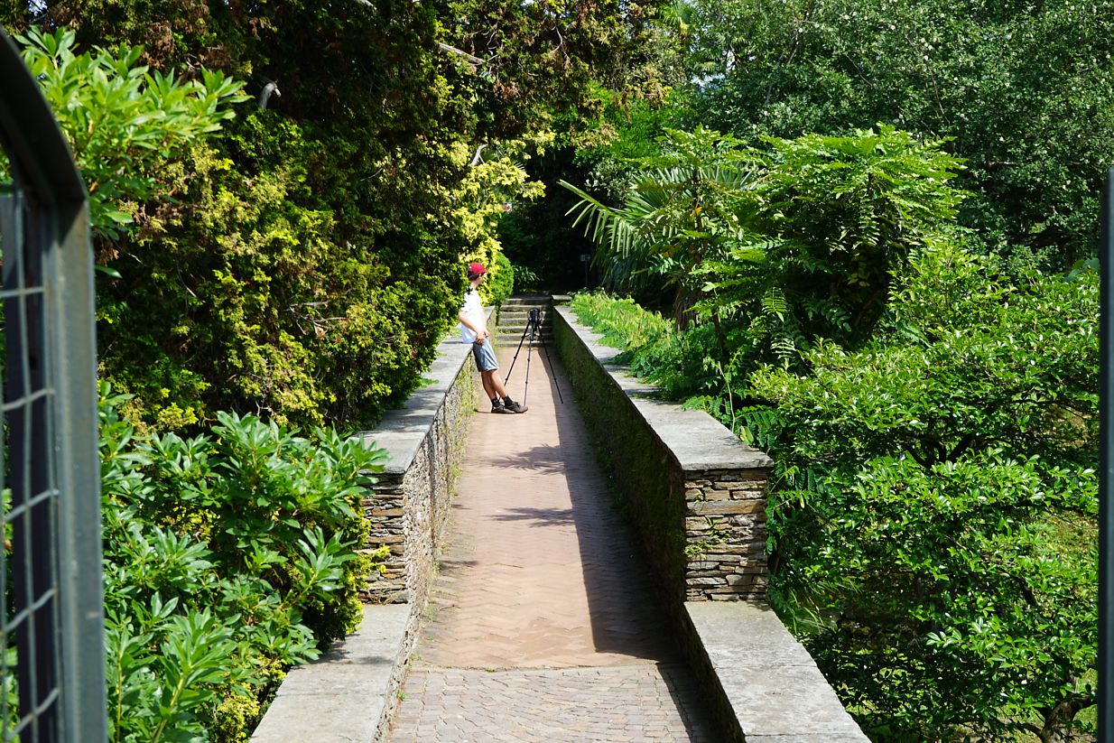 kameraman tiše trpí.jpg