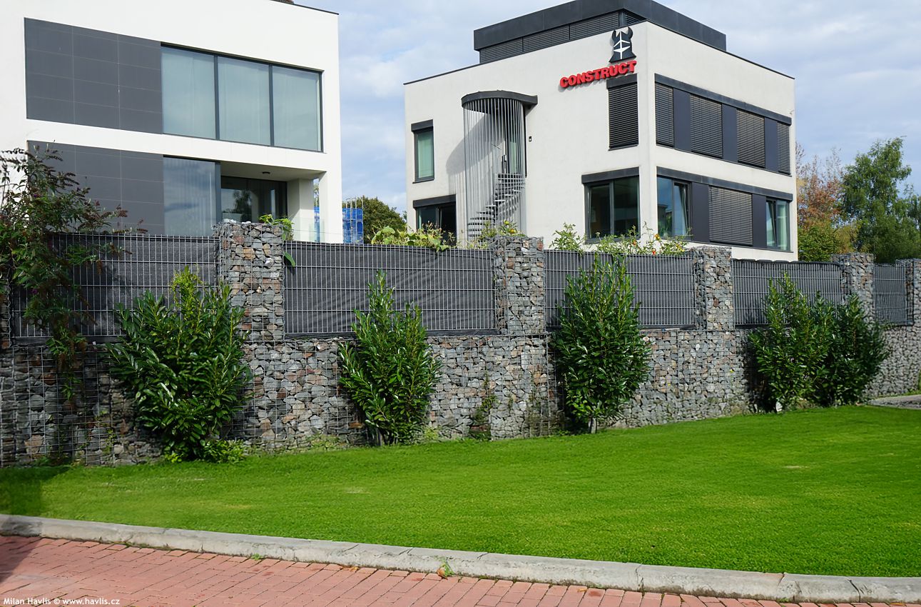 prunus laurocerasus Elly