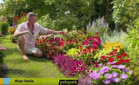 Pojte s nmi koukat na telku 📺🌿 Tapatkovky