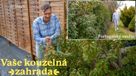 Pojte s nmi koukat na telku &#128250;&#127807; Portugalsk vavn.