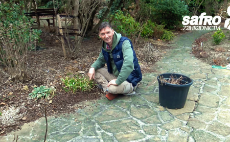 Prvn� jarn� st��h�n�