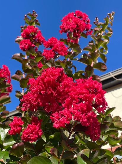 Fotografie od vs &#127800;&#128247;&#127800;