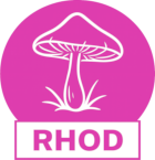 Rhodovit (ericoid)