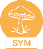 Symbivit (arbuscular)