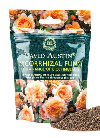 Mycorrhizal fungi David Austin&reg;