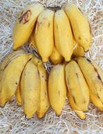 BIO Banány mini FAIR TRADE